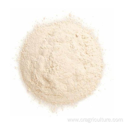 100% Natural Allicin Garlic Powder Wholesale